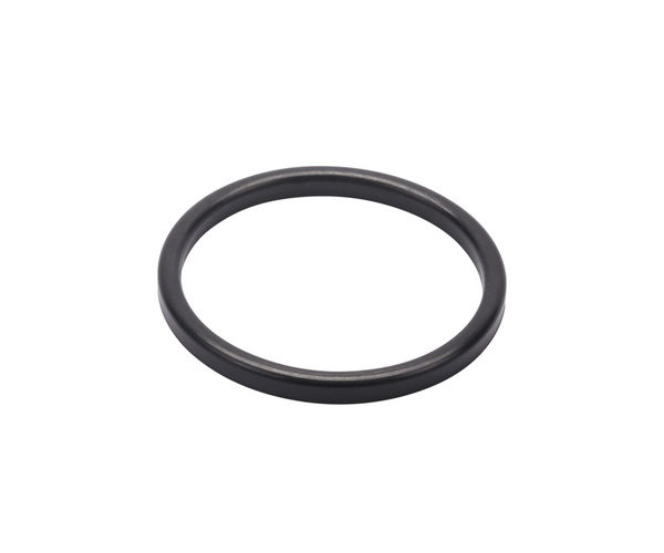 SEAL RING 101.6 EPDM - DS720